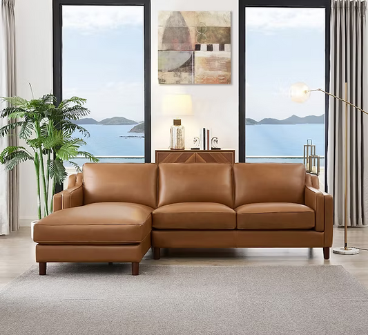 Danika Sectional with Chaise