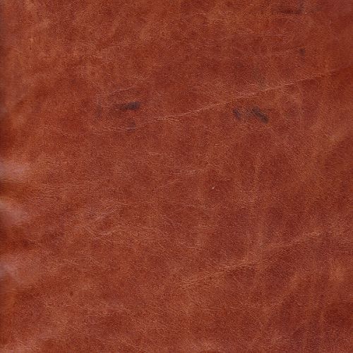 Clara Leather Arm Chair