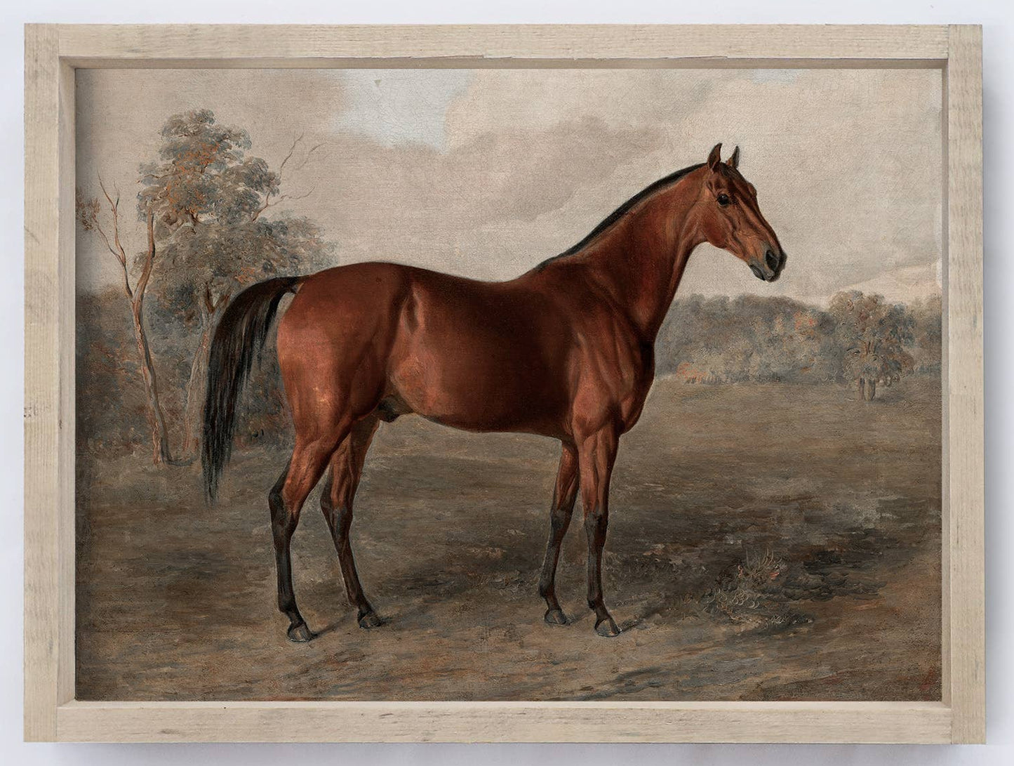 Framed painting of a horse in a natural setting on a white wall