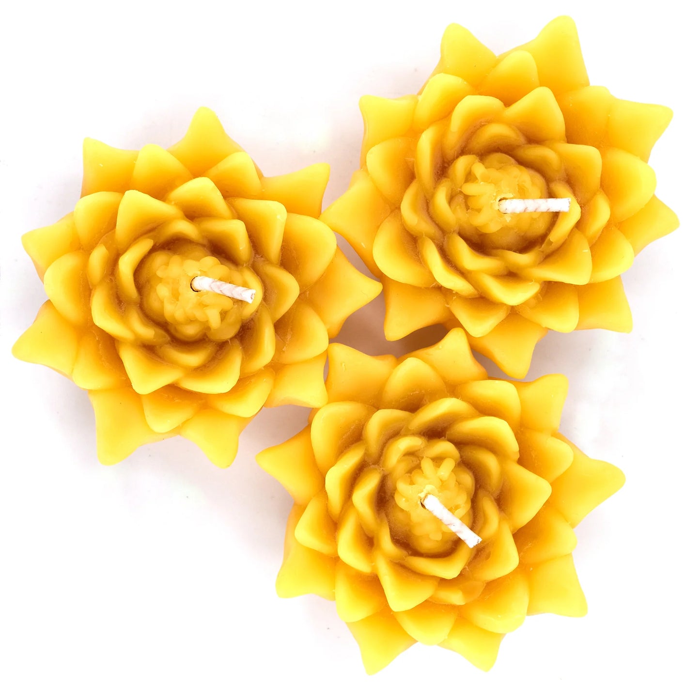 3 Pack Floating Lotus Beeswax Candles