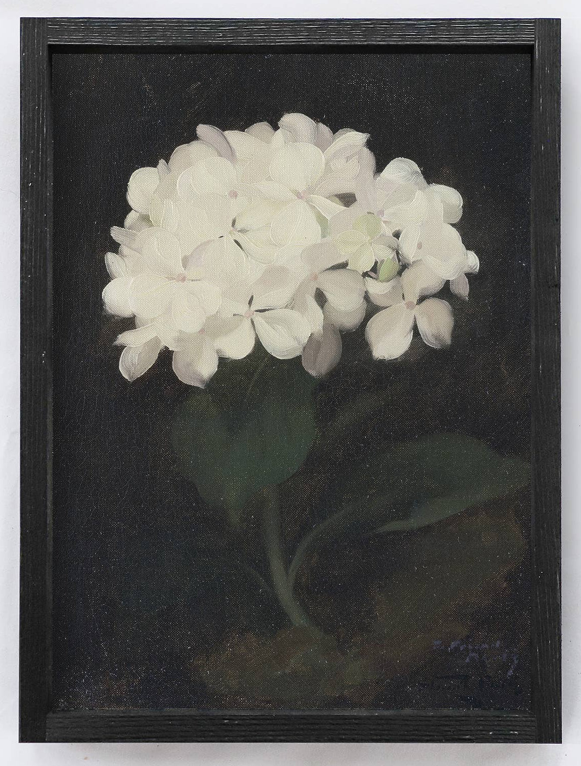 Framed artwork of white flowers on a white background