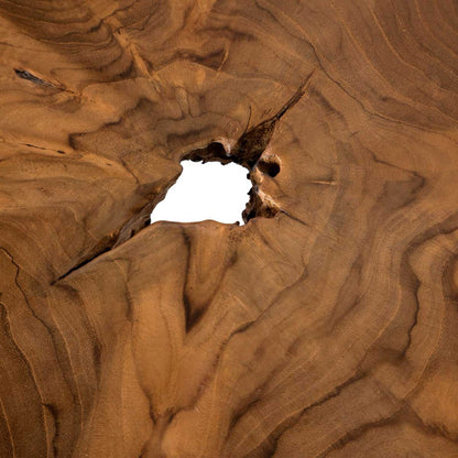 Close-up of a textured brown surface with a central hole