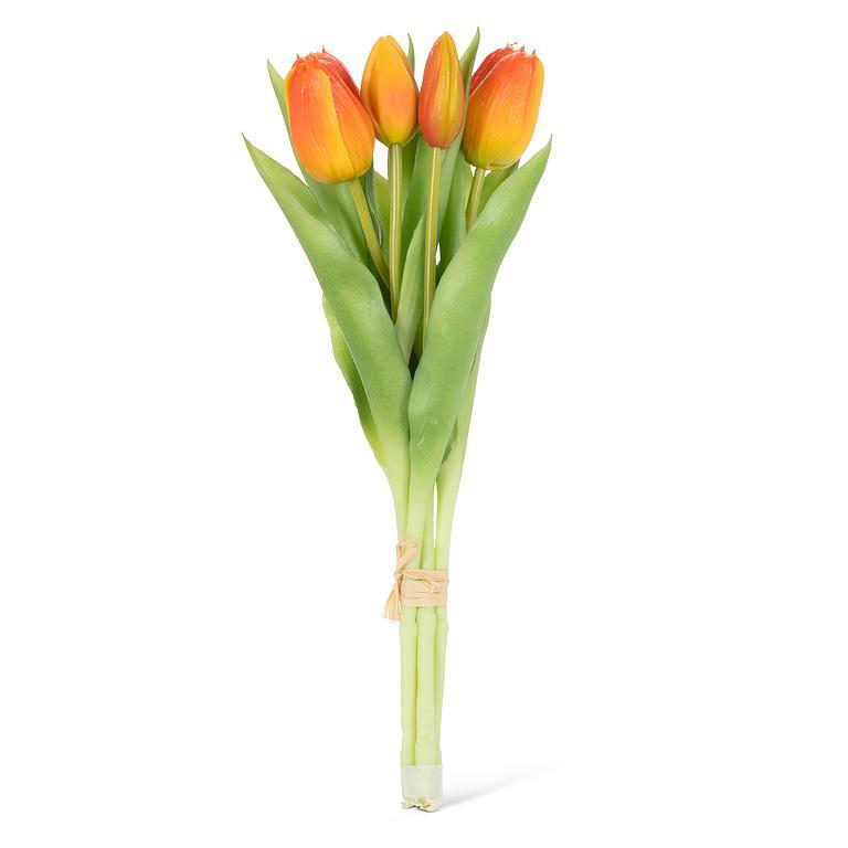 Bouquet of orange tulips on a white background