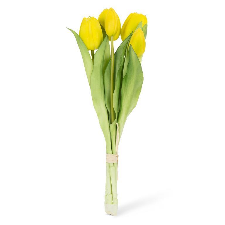 Bouquet of yellow tulips on a white background