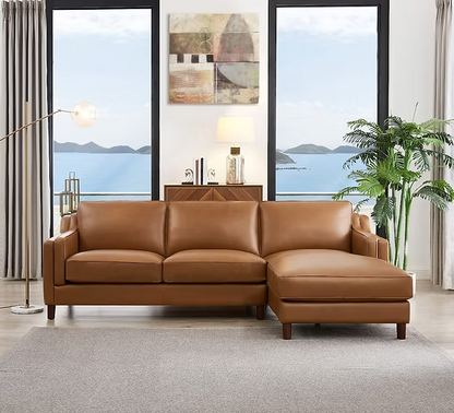 Danika Sectional with Chaise
