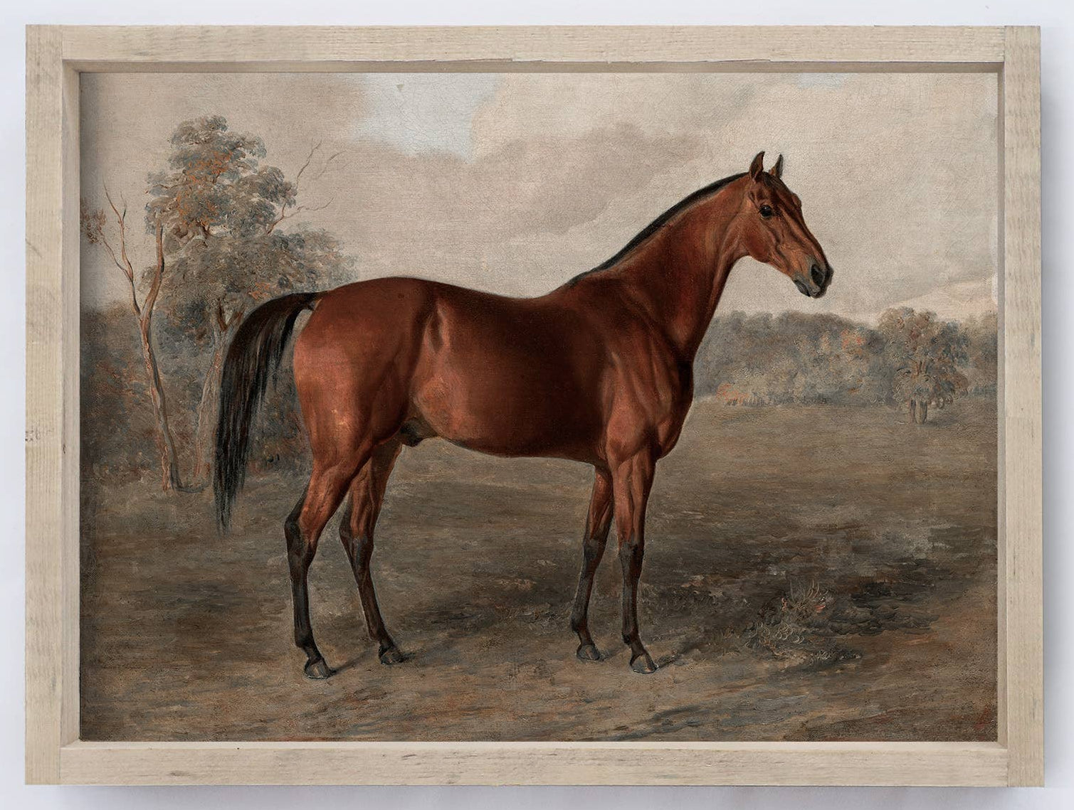 Framed painting of a horse in a natural setting on a white wall