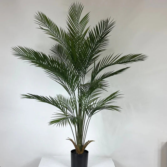 Kwai Palm
